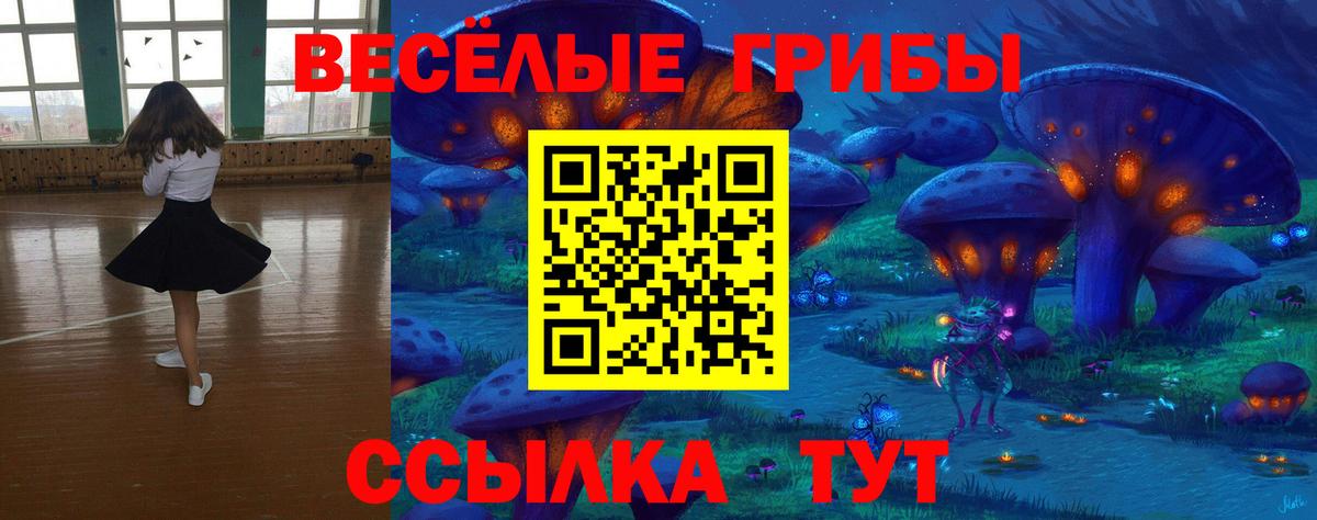 Галлюциногенные грибы GOLDEN TEACHER Кувандык