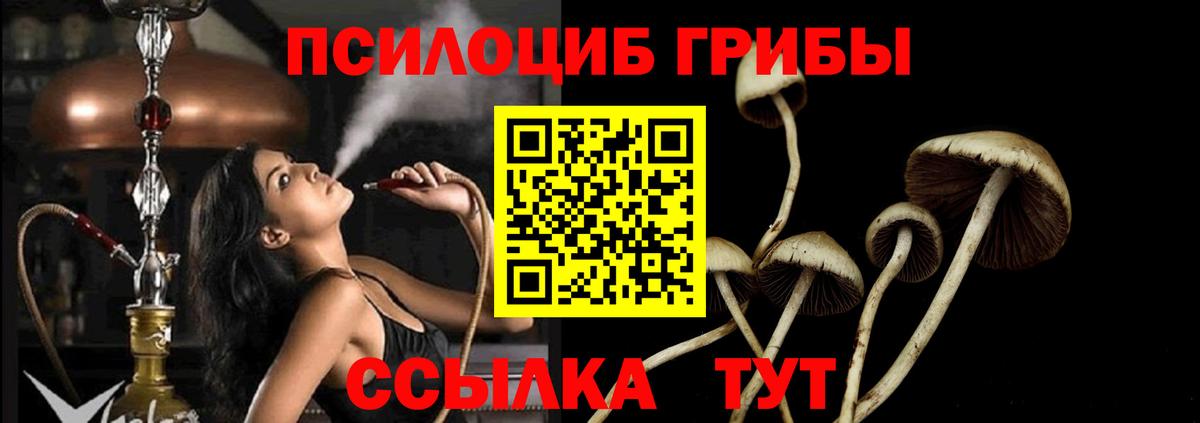 продажа наркотиков  Псилоцибиновые грибы мухоморы  Вход с VPN  Псилоцибиновые грибы прущие грибы  Кувандык 